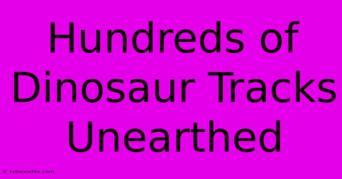 Hundreds Of Dinosaur Tracks Unearthed