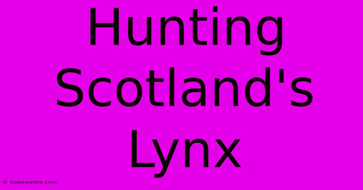 Hunting Scotland's Lynx