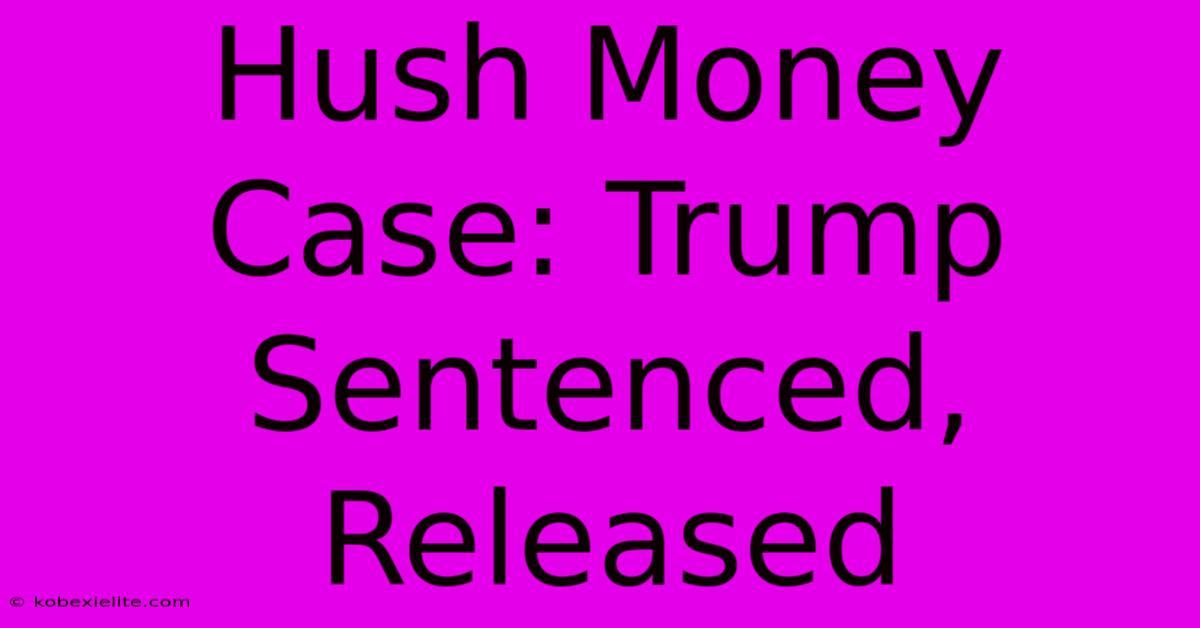 Hush Money Case: Trump Sentenced, Released