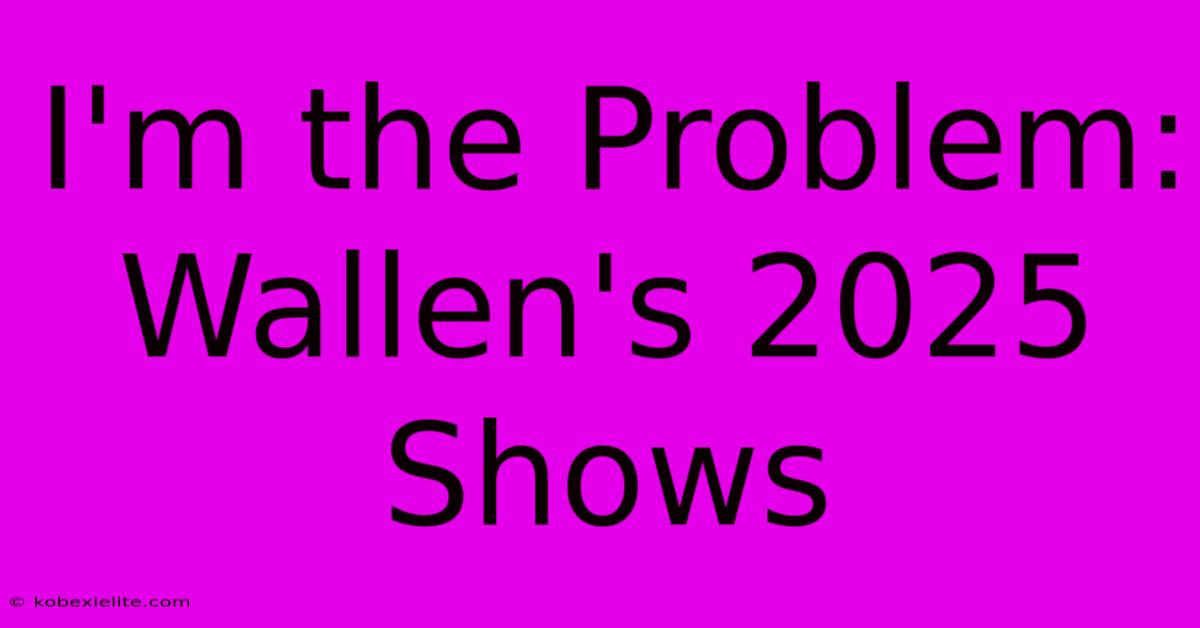 I'm The Problem: Wallen's 2025 Shows