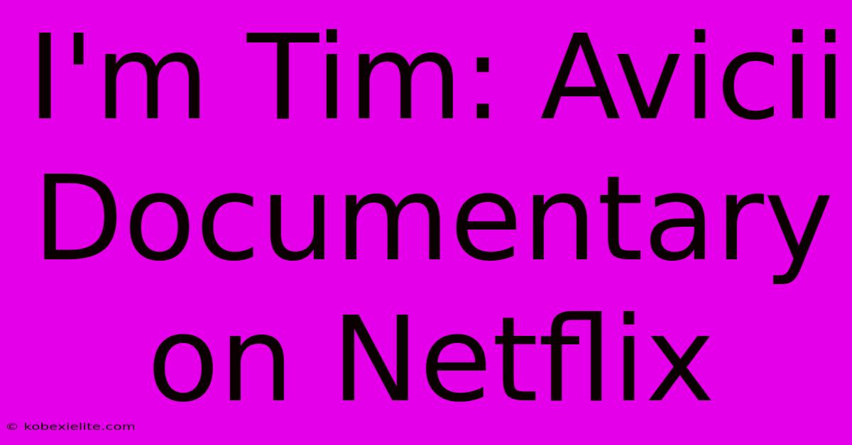 I'm Tim: Avicii Documentary On Netflix