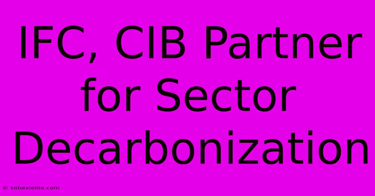 IFC, CIB Partner For Sector Decarbonization