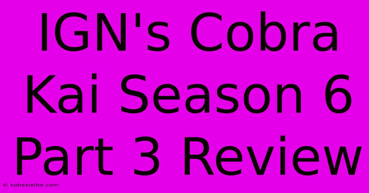 IGN's Cobra Kai Season 6 Part 3 Review