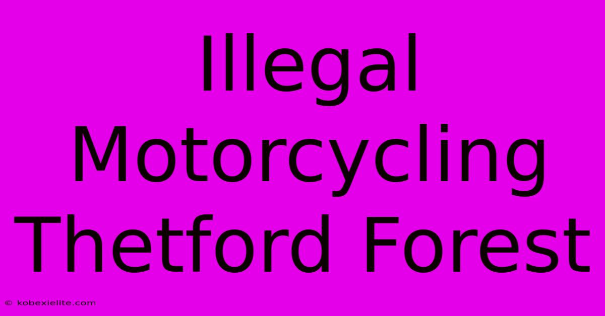 Illegal Motorcycling Thetford Forest