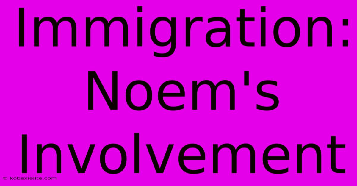 Immigration: Noem's Involvement