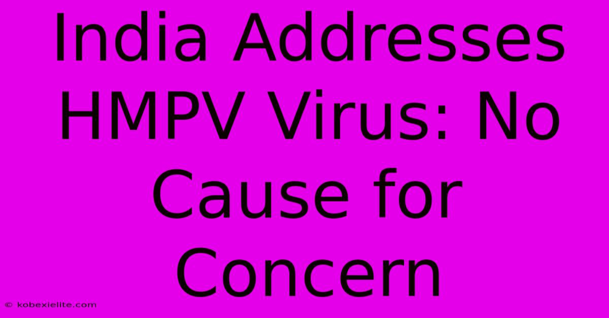 India Addresses HMPV Virus: No Cause For Concern