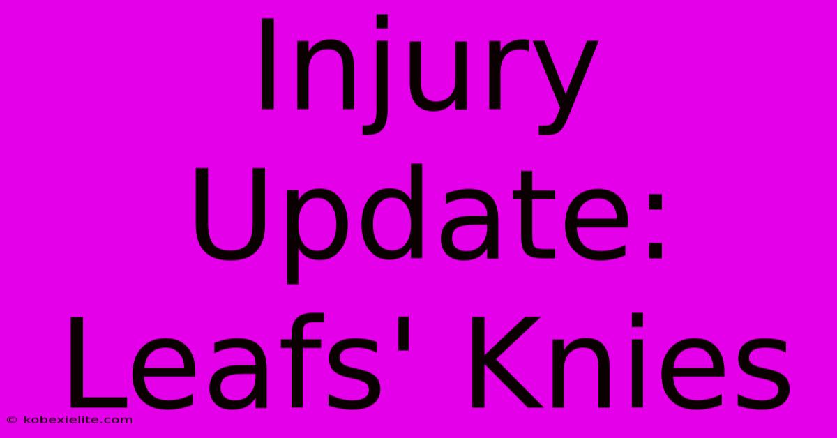 Injury Update: Leafs' Knies