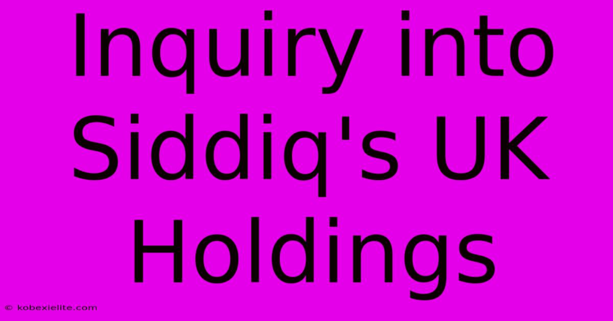 Inquiry Into Siddiq's UK Holdings