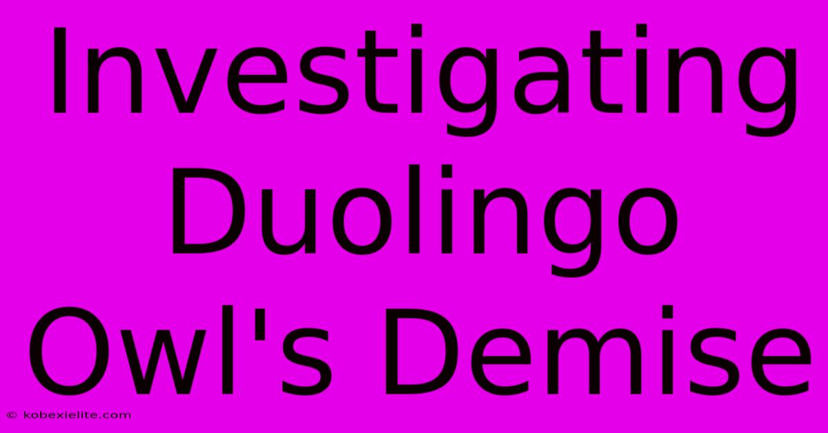 Investigating Duolingo Owl's Demise