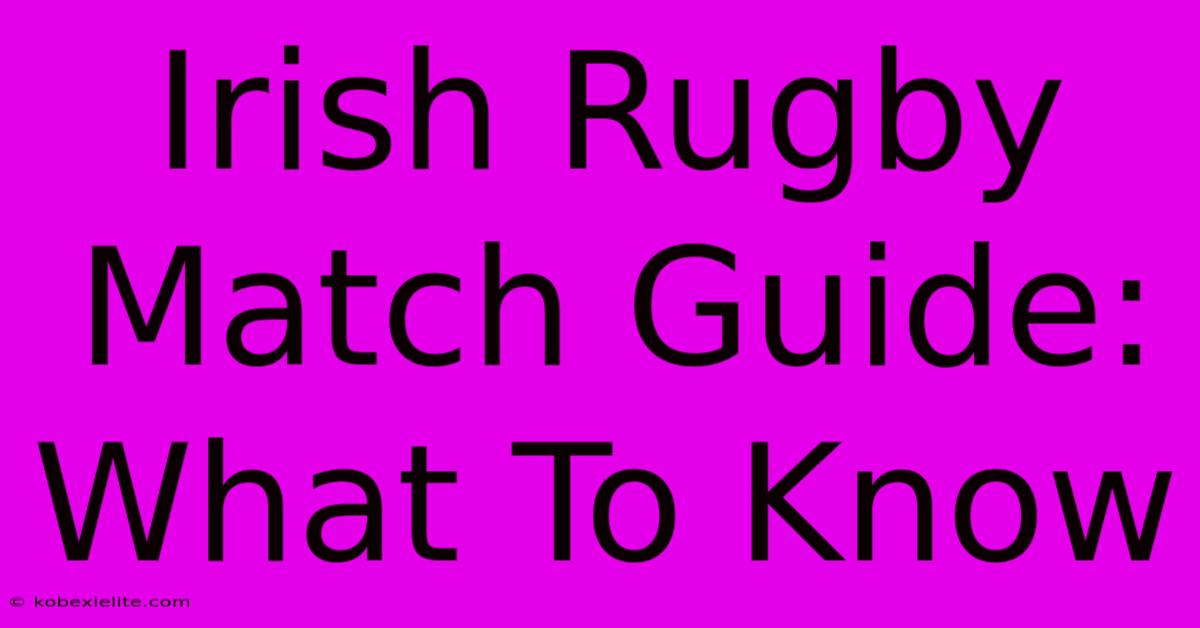 Irish Rugby Match Guide: What To Know