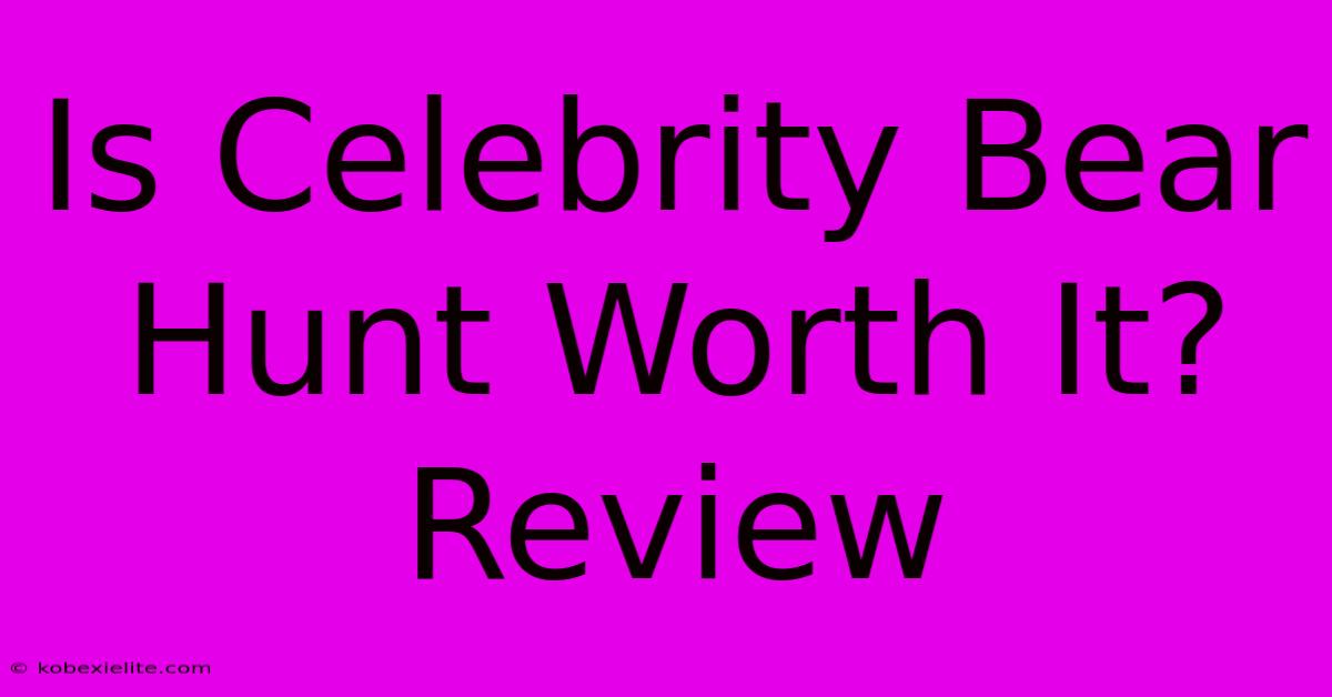 Is Celebrity Bear Hunt Worth It? Review