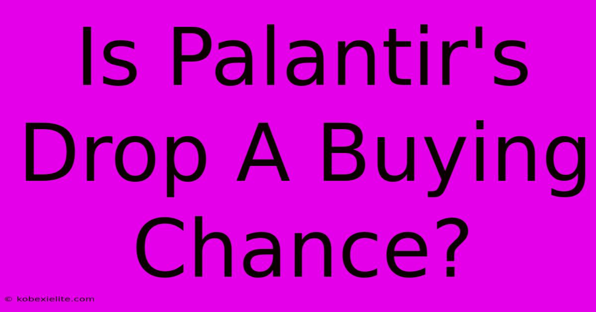 Is Palantir's Drop A Buying Chance?