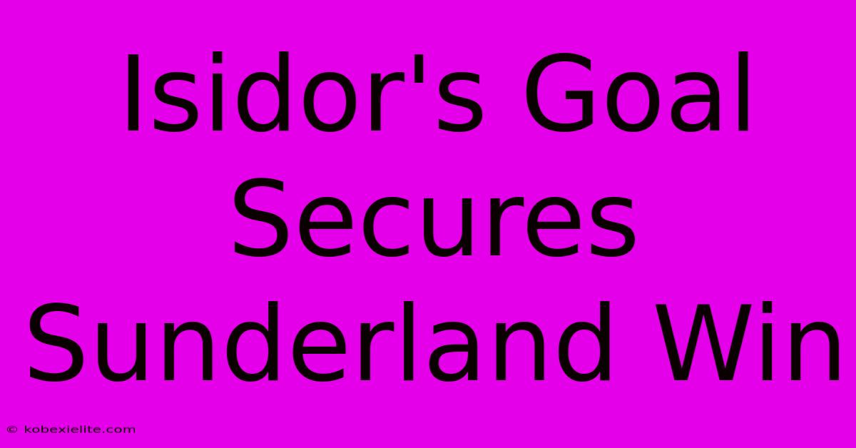 Isidor's Goal Secures Sunderland Win