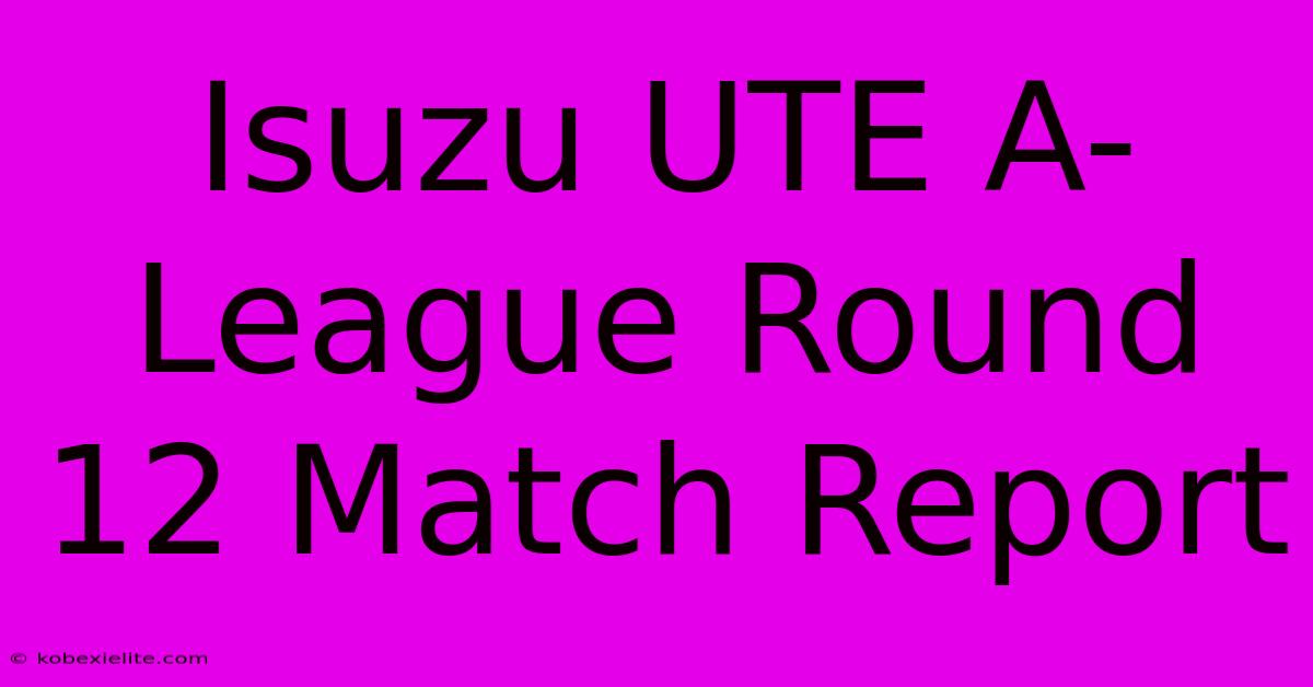 Isuzu UTE A-League Round 12 Match Report