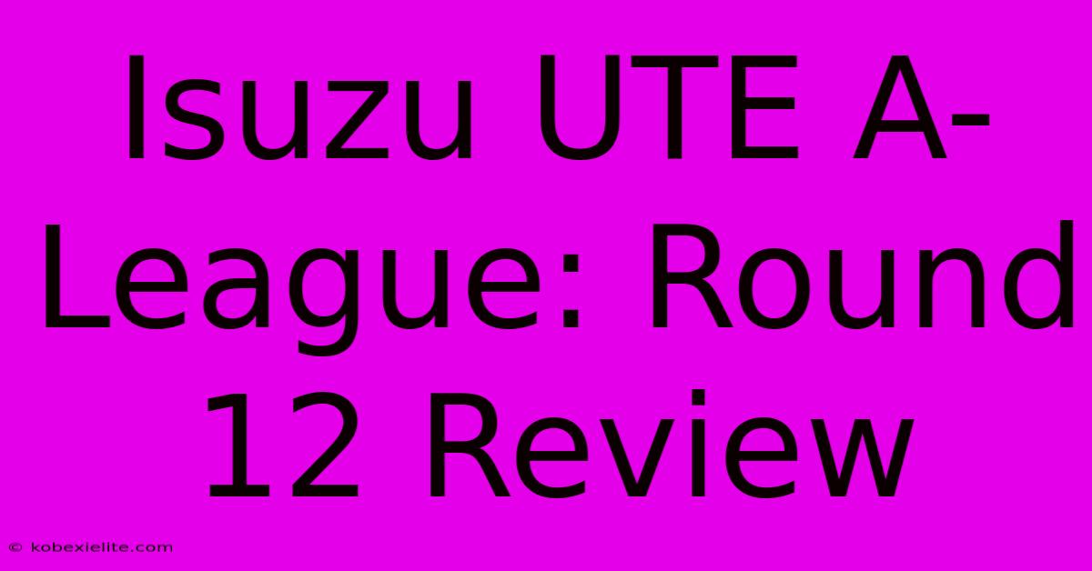 Isuzu UTE A-League: Round 12 Review