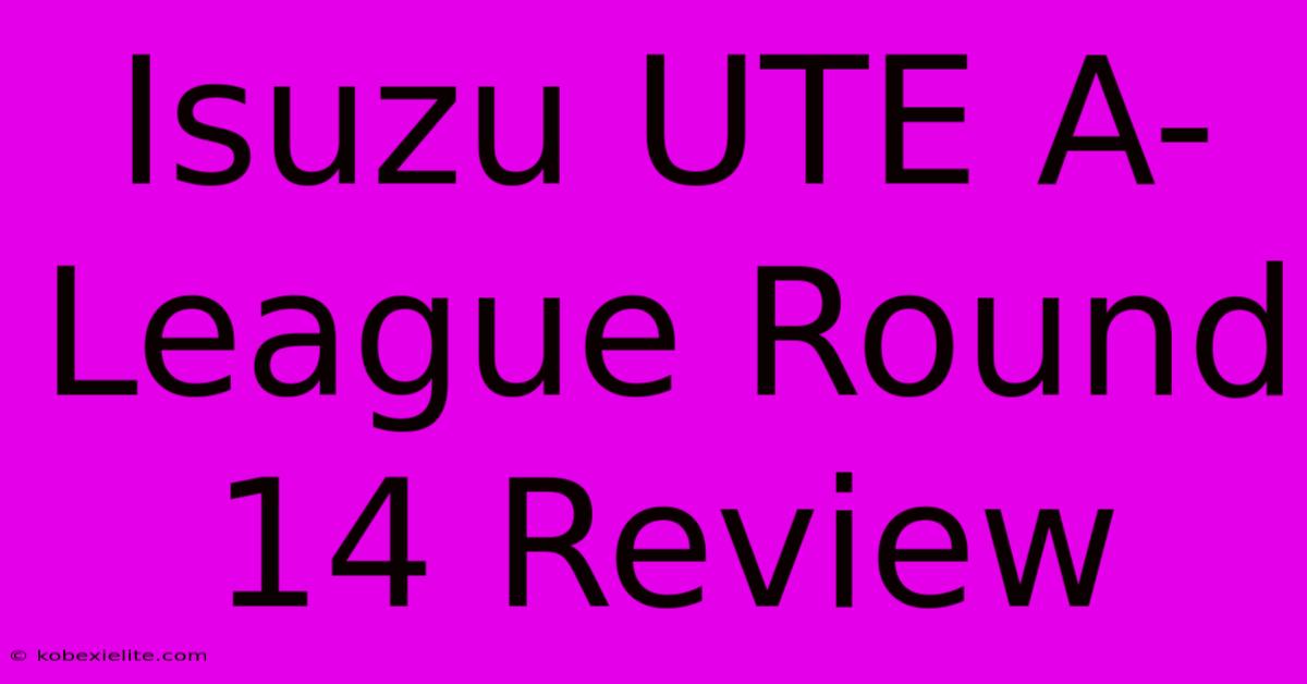 Isuzu UTE A-League Round 14 Review