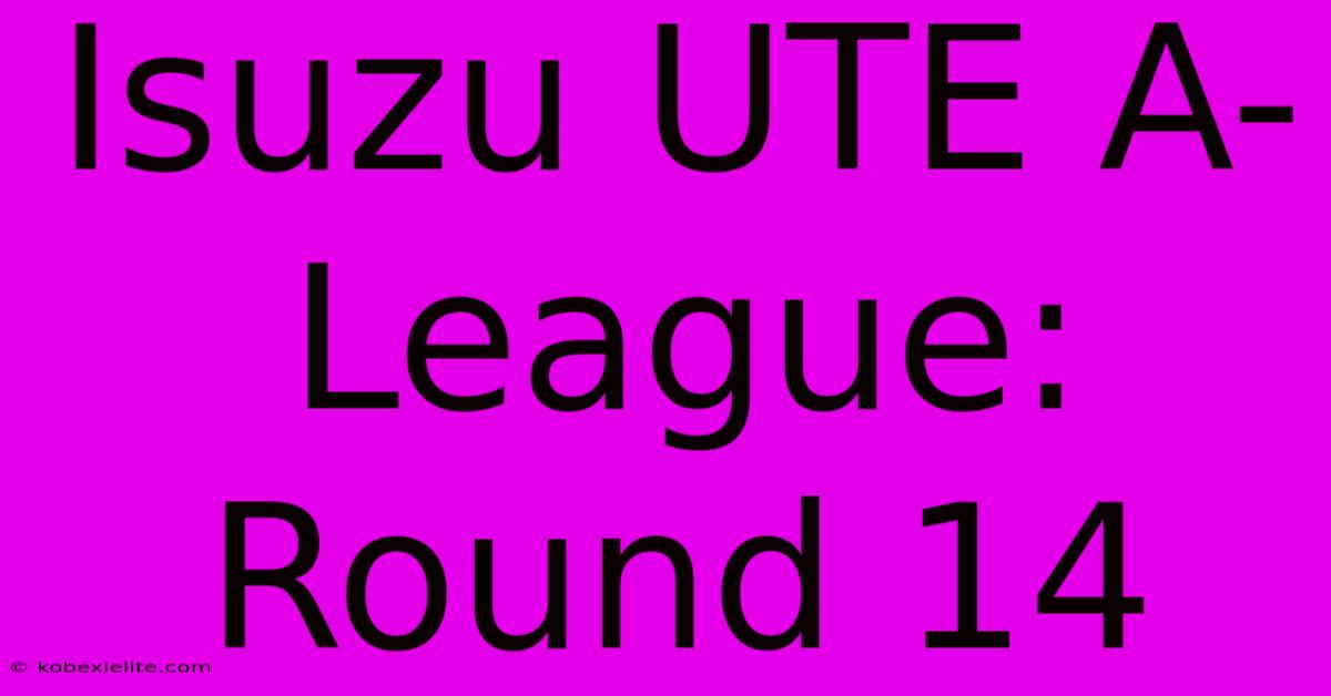 Isuzu UTE A-League: Round 14