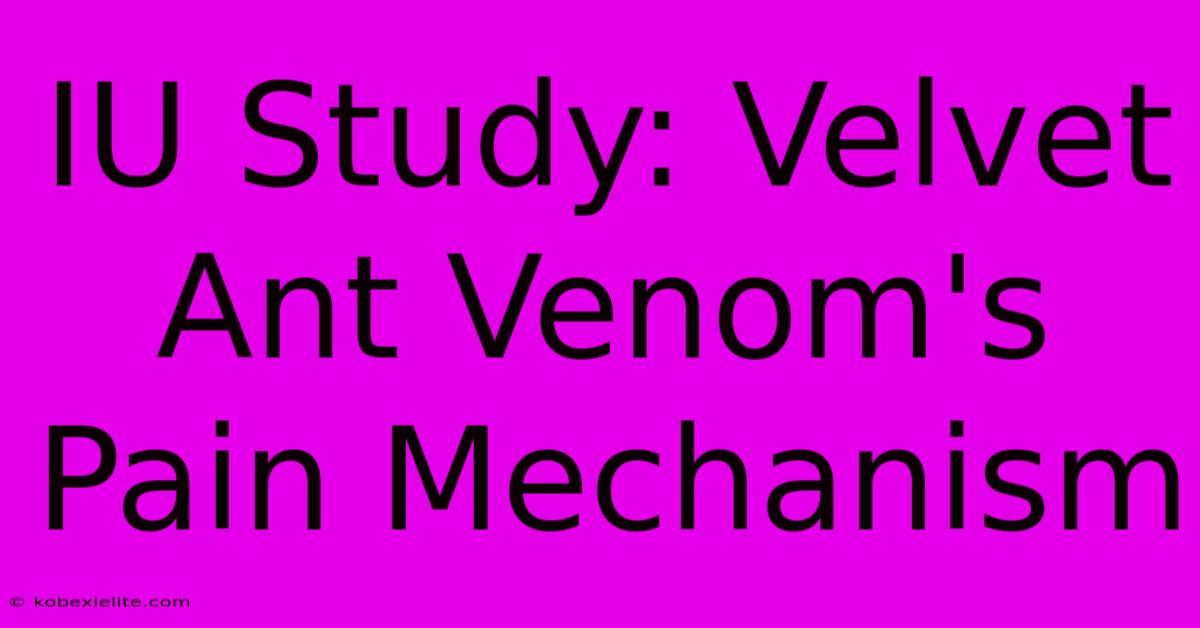 IU Study: Velvet Ant Venom's Pain Mechanism