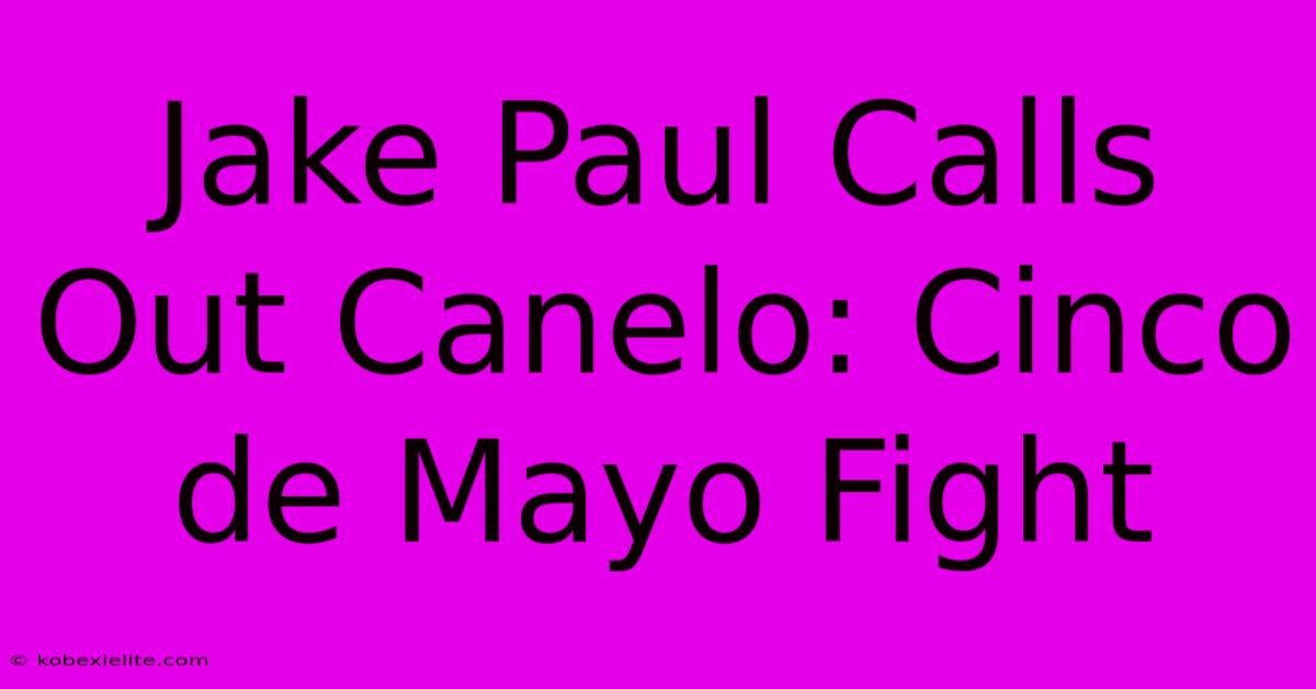 Jake Paul Calls Out Canelo: Cinco De Mayo Fight