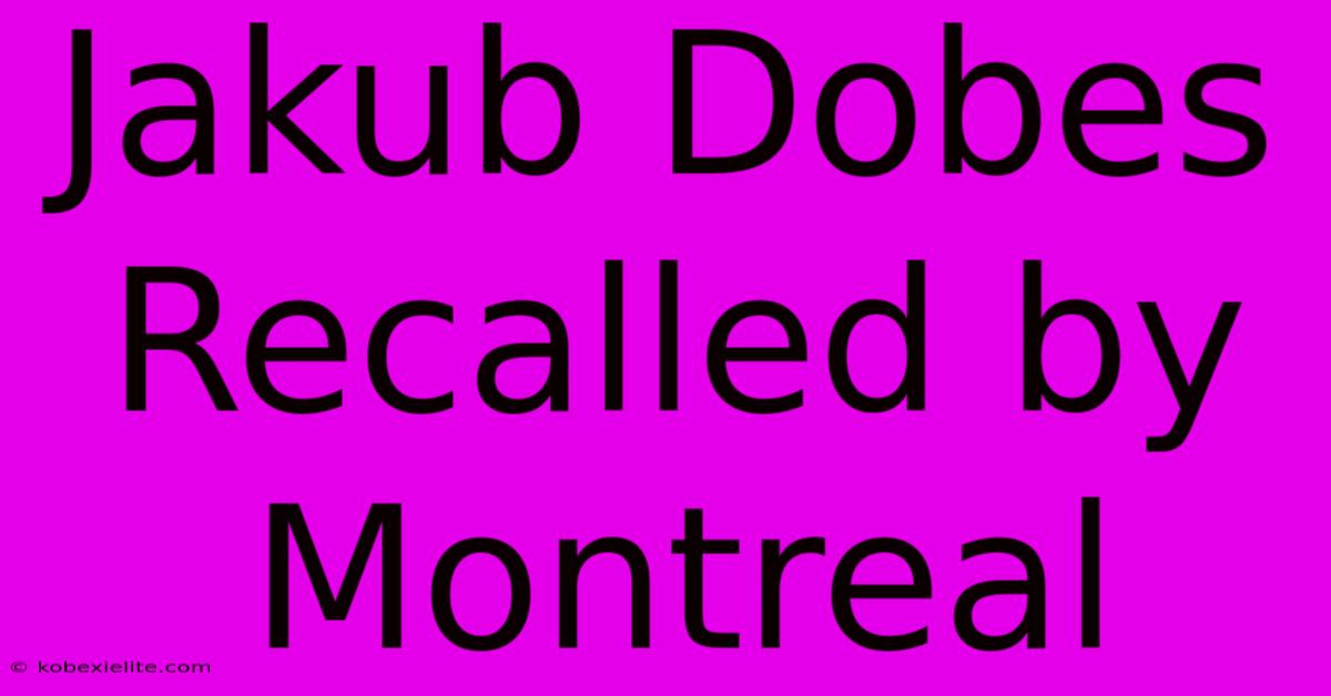 Jakub Dobes Recalled By Montreal