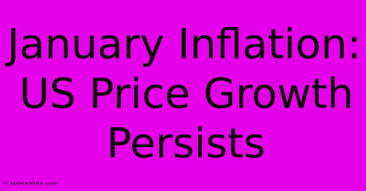 January Inflation: US Price Growth Persists