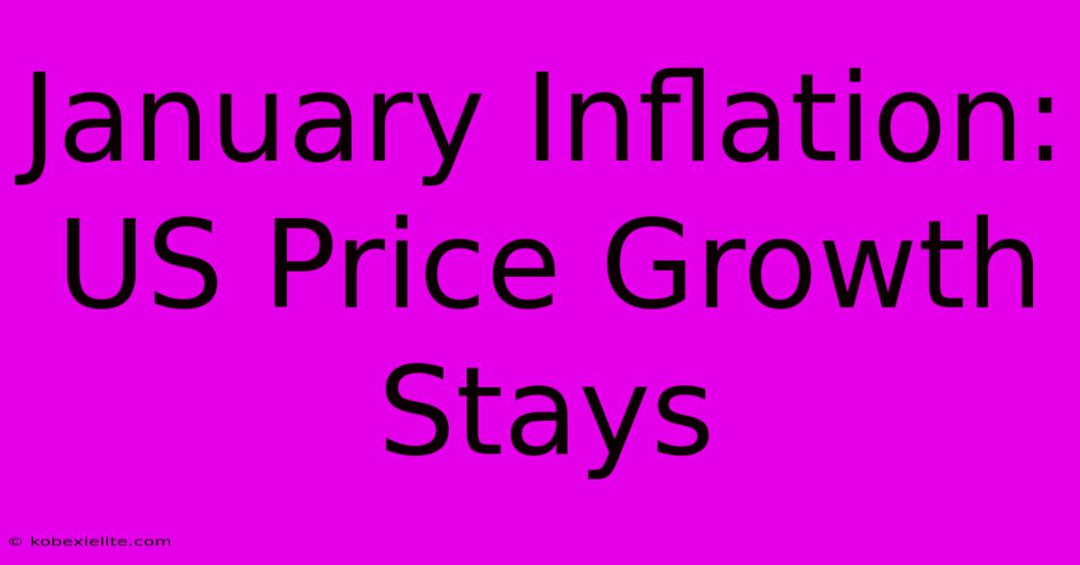 January Inflation: US Price Growth Stays