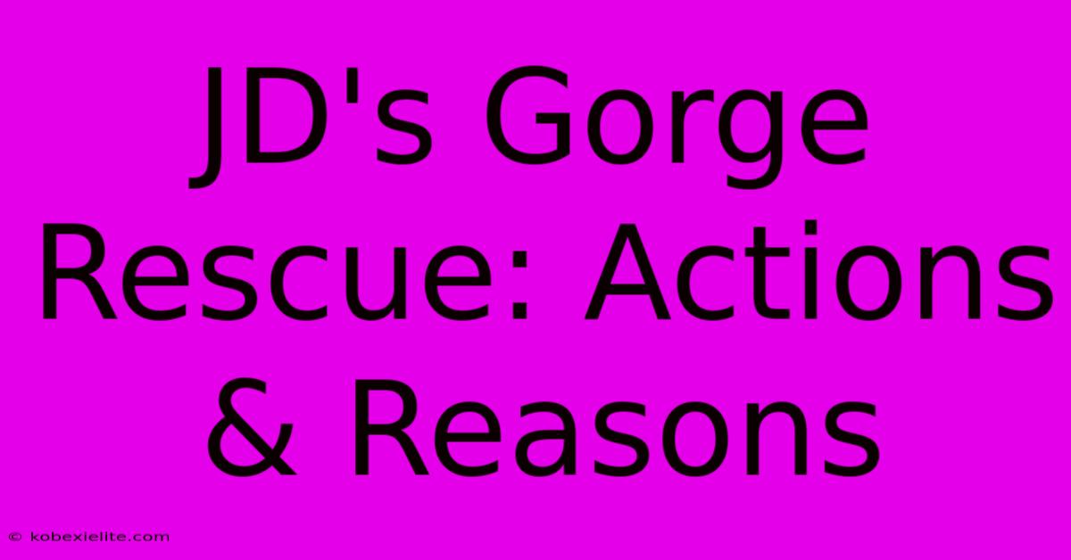 JD's Gorge Rescue: Actions & Reasons