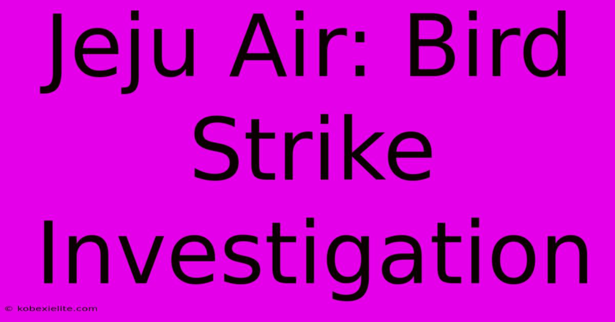 Jeju Air: Bird Strike Investigation