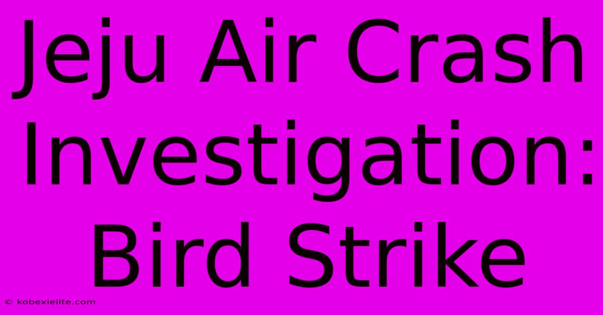 Jeju Air Crash Investigation: Bird Strike