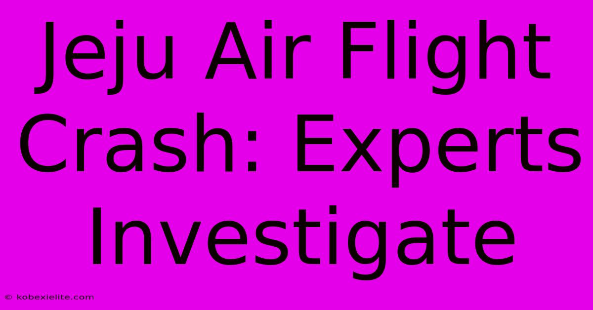 Jeju Air Flight Crash: Experts Investigate