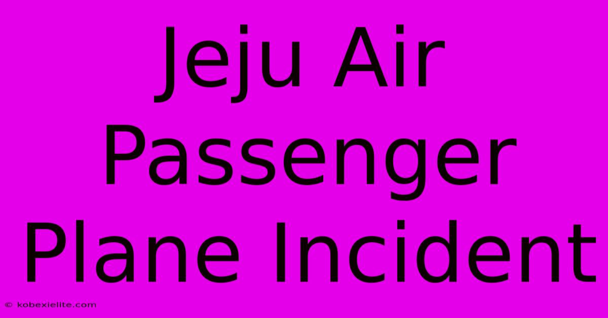 Jeju Air Passenger Plane Incident