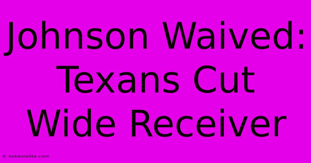 Johnson Waived: Texans Cut Wide Receiver