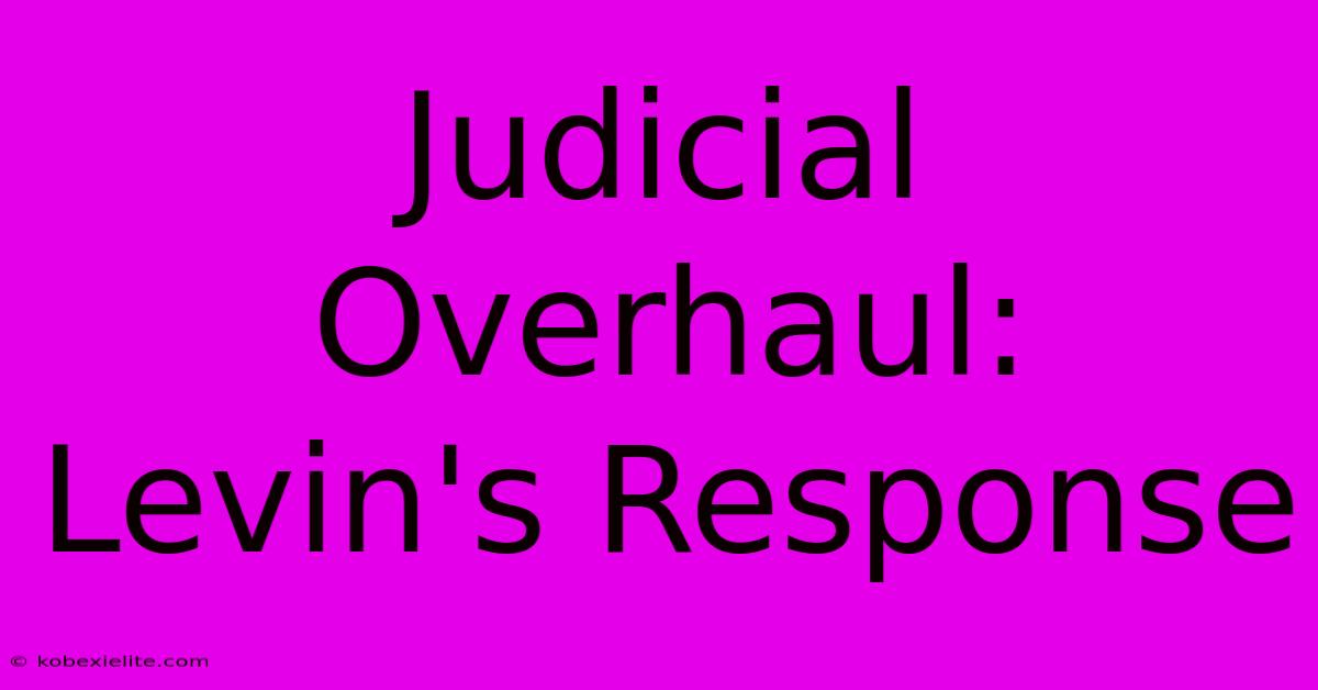 Judicial Overhaul: Levin's Response Judicial Overhaul: Levin's Response
