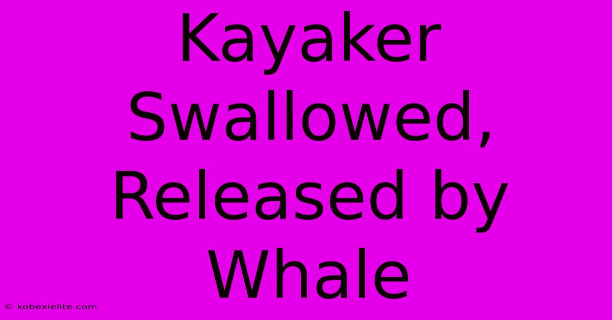 Kayaker Swallowed, Released By Whale