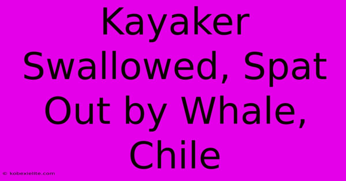 Kayaker Swallowed, Spat Out By Whale, Chile