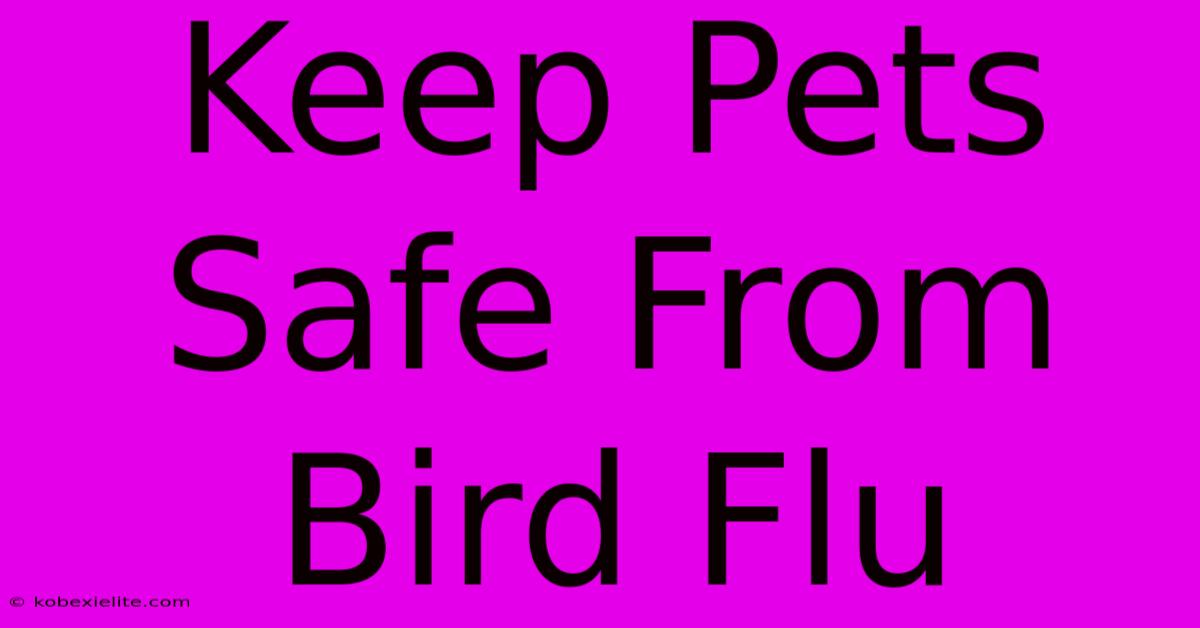 Keep Pets Safe From Bird Flu