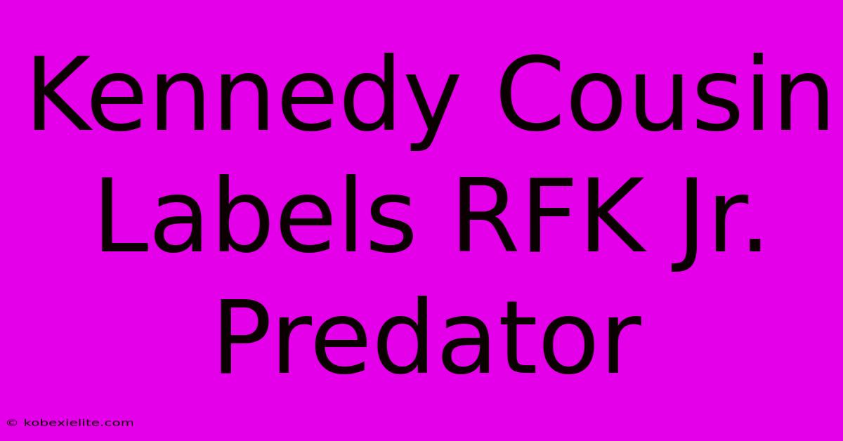 Kennedy Cousin Labels RFK Jr. Predator