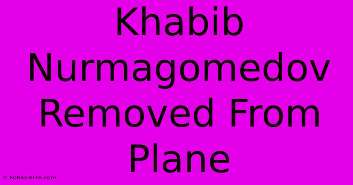 Khabib Nurmagomedov Removed From Plane