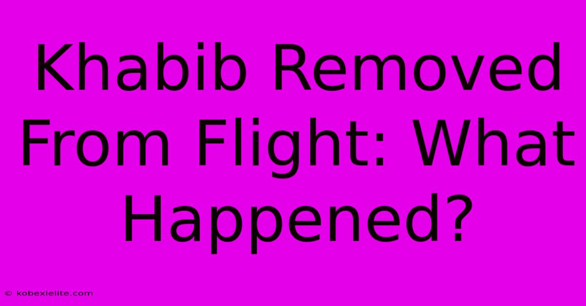 Khabib Removed From Flight: What Happened?