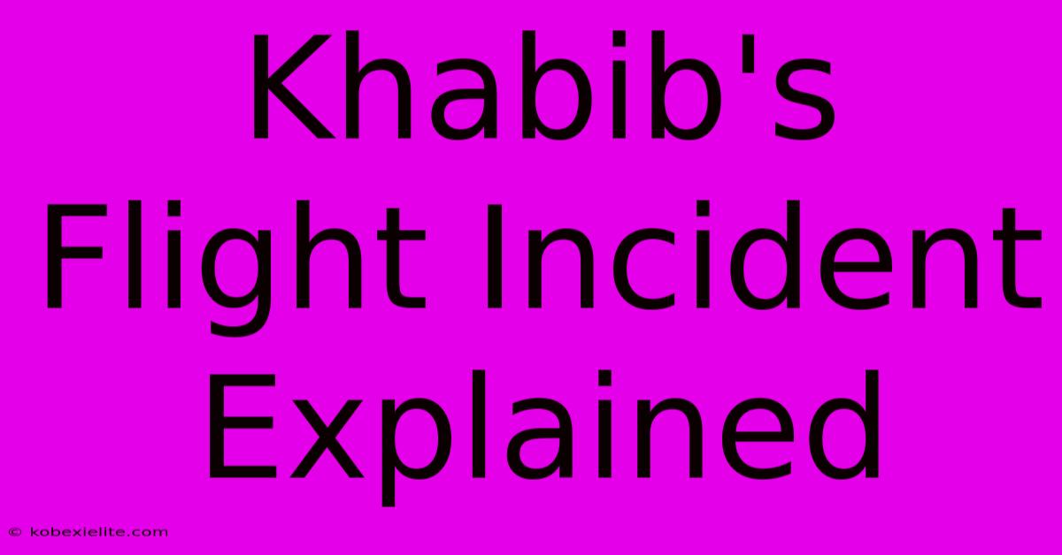 Khabib's Flight Incident Explained