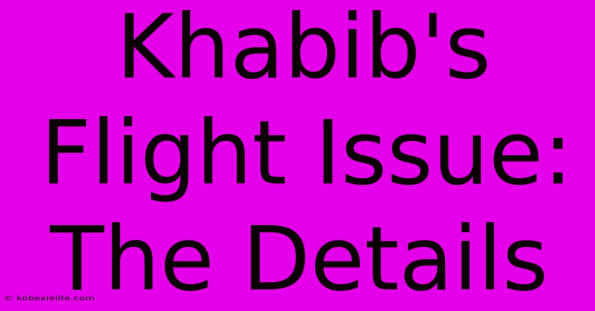 Khabib's Flight Issue: The Details