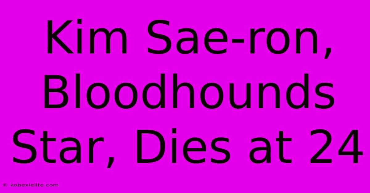 Kim Sae-ron, Bloodhounds Star, Dies At 24