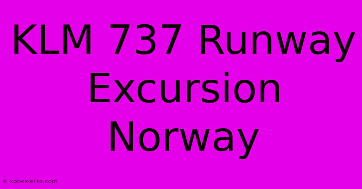 KLM 737 Runway Excursion Norway