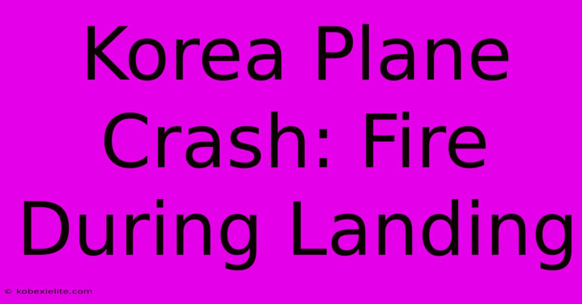 Korea Plane Crash: Fire During Landing