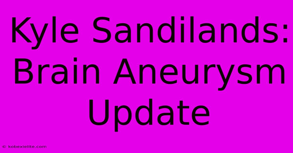 Kyle Sandilands: Brain Aneurysm Update