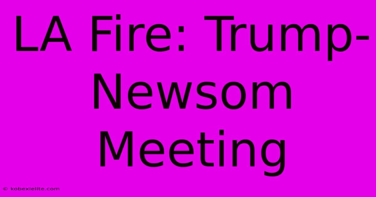 LA Fire: Trump-Newsom Meeting