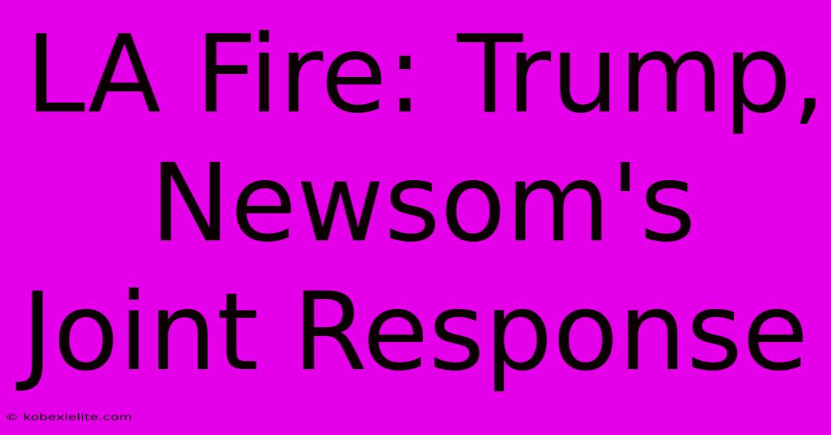 LA Fire: Trump, Newsom's Joint Response