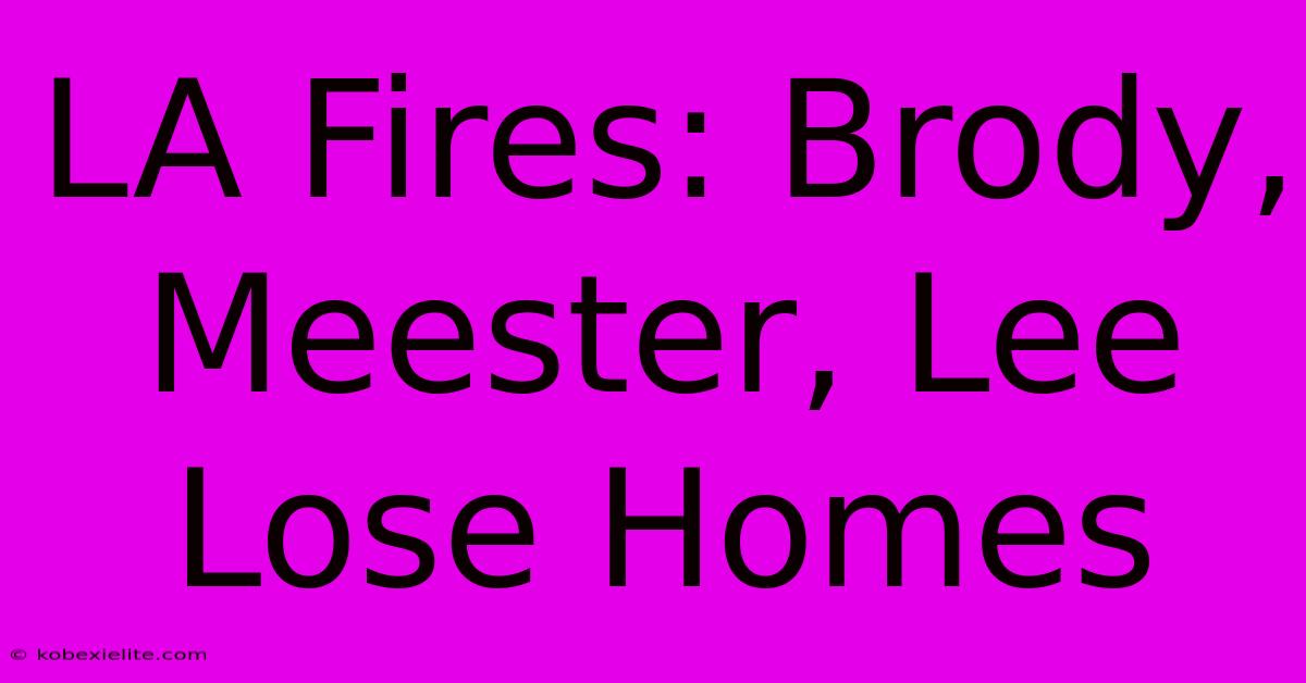 LA Fires: Brody, Meester, Lee Lose Homes