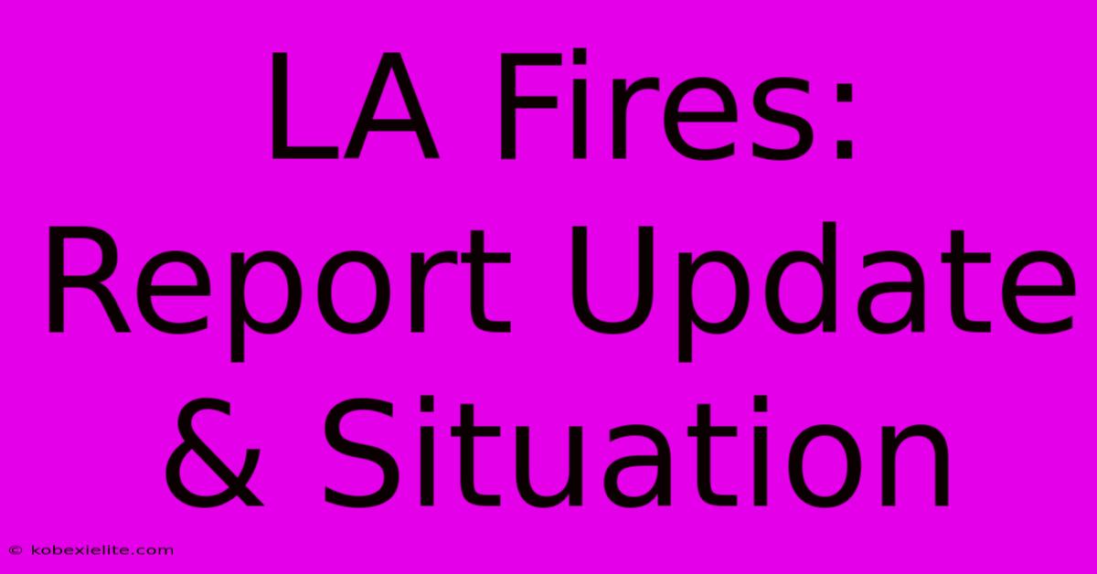 LA Fires: Report Update & Situation