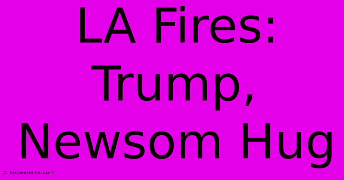 LA Fires: Trump, Newsom Hug